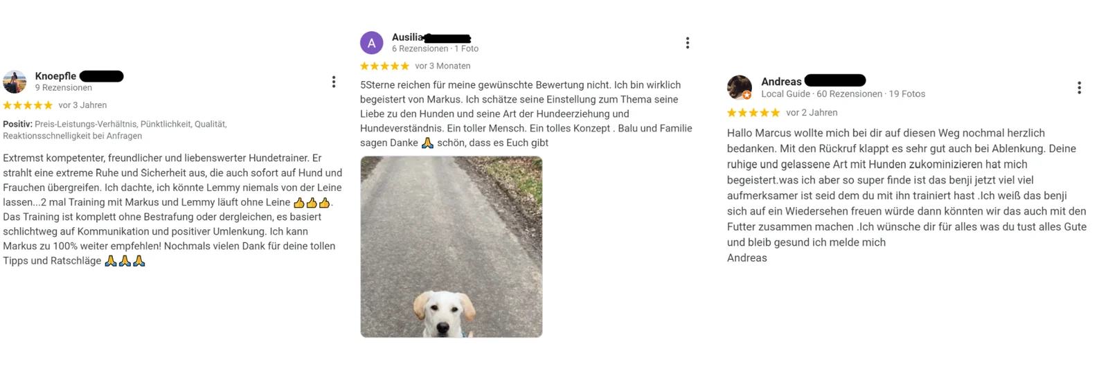 Google-Bewertungen von Kunden der Hundeschule TOP-DOGS