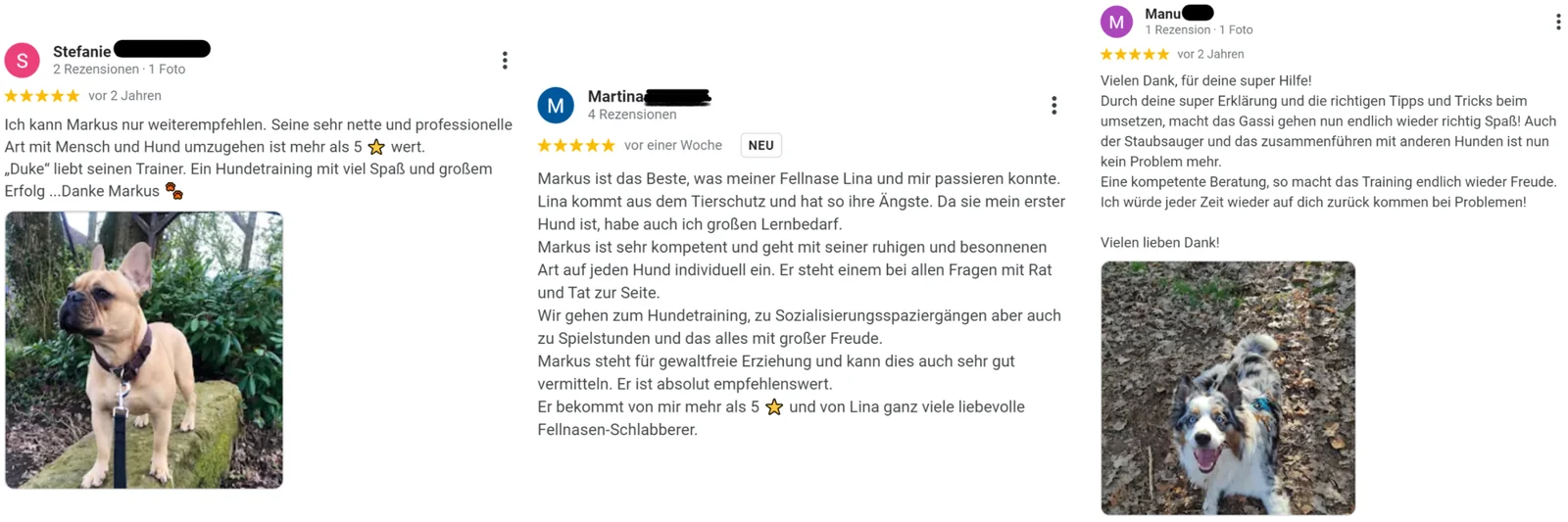 Google-Bewertungen von Kunden der Hundeschule TOP-DOGS
