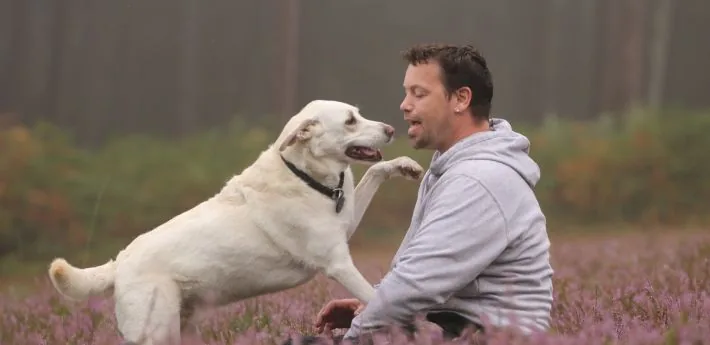 High Five mit einem Labrador